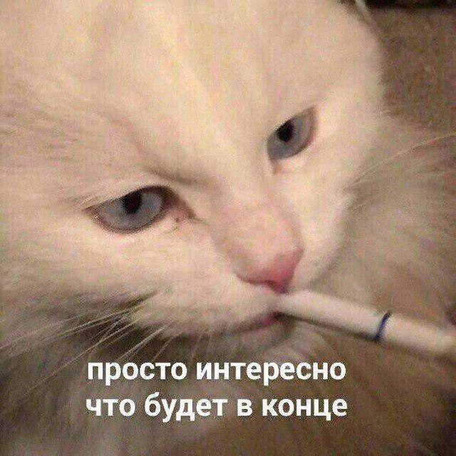 sssnakes_69's tweet photo. mood: https://t.co/q3Qj2YNeMG