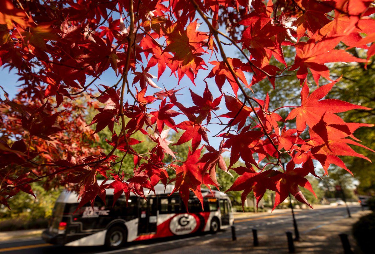 universityofga's tweet photo. Even the fall foliage is repping UGA colors! https://t.co/atrZX9f8p6