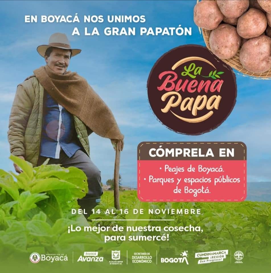 lugarcolombi's tweet photo. Unir esfuerzos, nos permite aliviar en parte la grave situación que viven los productores de papa de nuestro departamento🌱 https://t.co/NgzYd2eRh8