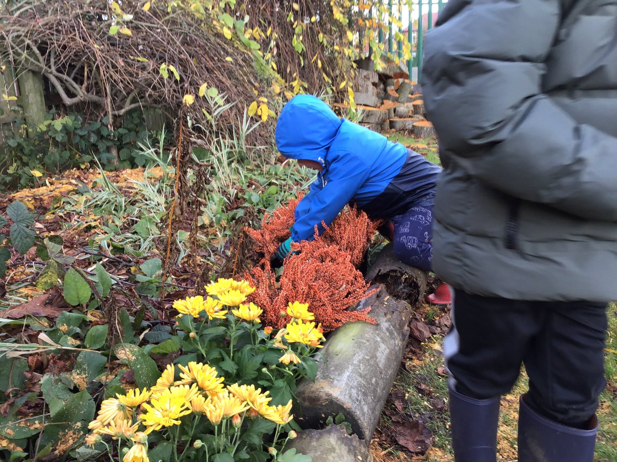 GrangeEYFS's tweet photo. Today we replanted flowers donated by @marksandspencer at Kenton Bar. It really brightened up our Forest School garden at @grange_first 🌼🌹🌷🌺🌸🍁 https://t.co/eDZ9HVQikj