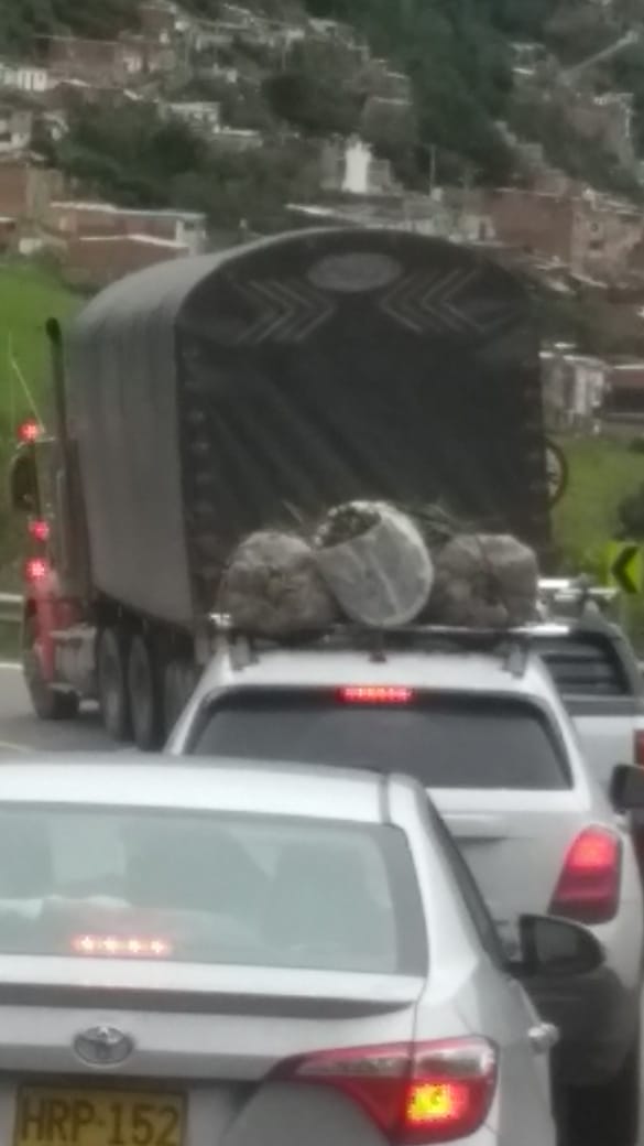 Union_Santurban's tweet photo. El #Papaton no es solamente en #Cundinamarca o #Boyaca, en #NorteDeSantander también,  esta foto es de un vehículo con dos bultos de #papa y una rueda de #cebollaJunca, ojala la hayan comprado a #Campesinos. 
#ParamoDeSanturbán 
#Santurbán #GranSantander 
#PapaChallenge https://t.co/mcxMIME7rS