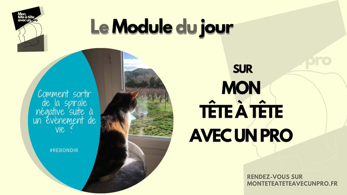 🔆Retrouvez sur MON TÊTE À TÊTE AVEC UN PRO le module du jour sélectionné par l'équipe:
 -l'experte Estelle Lirhmann "Comment sortir de la spirale négative suite à un événement de 
  vie" 
  monteteateteavecunpro.fr/products/comme…
#marketingenligne #marketingdigital #marketingenligne