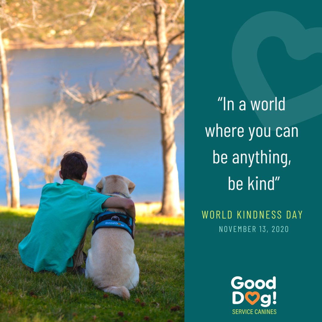 “In a world where you can be anything, be kind.” 🧡🐶 How will you celebrate #worldkindnessday #autismservicedog