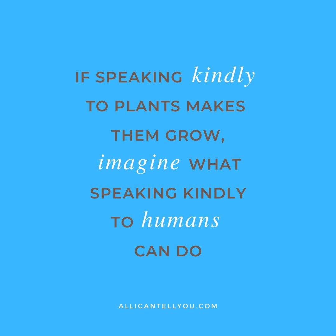 Agreed.

#WorldKindnessDay #BeKind #WKD #SpeakYourTruth