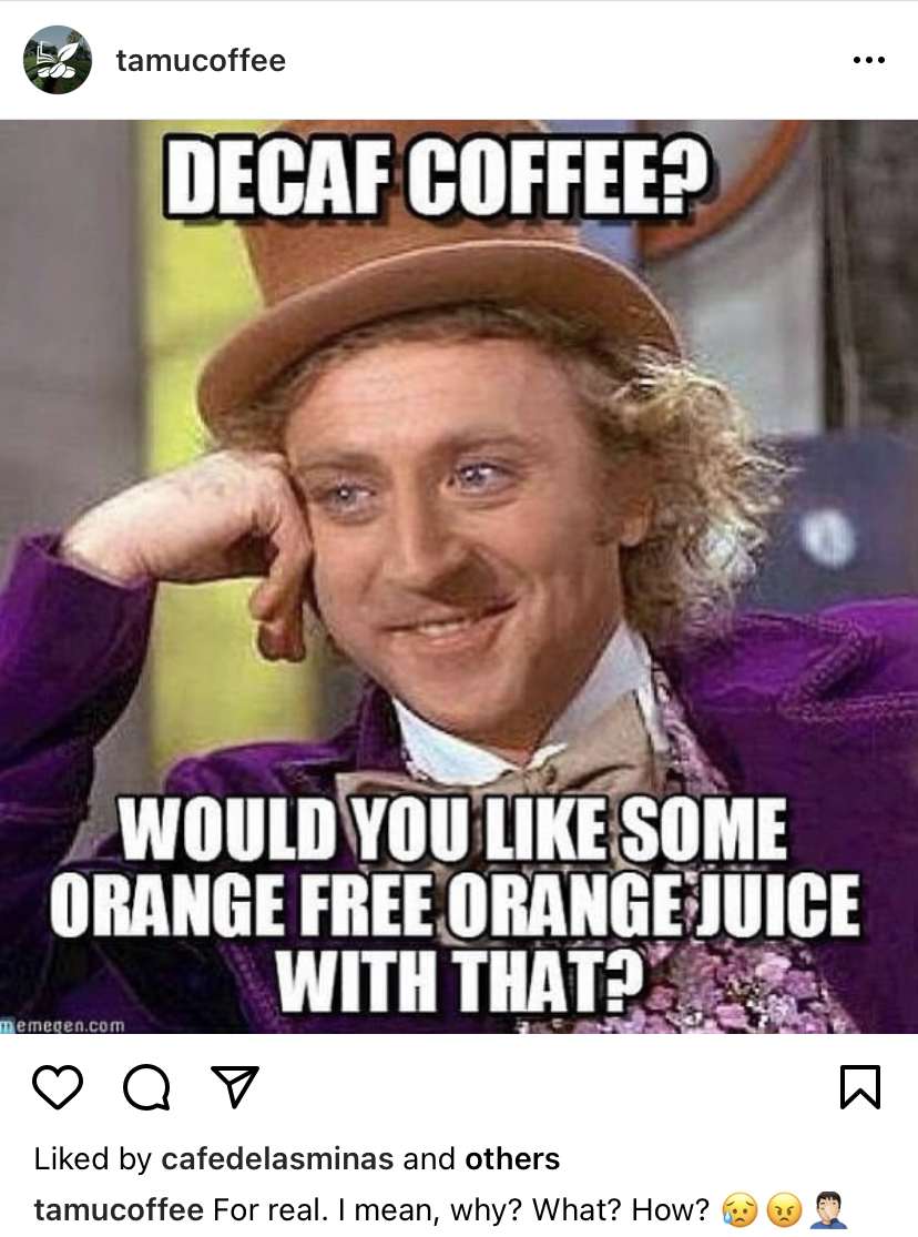 Lee Knuttila tweet media