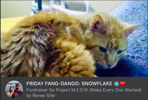 Snowflake's story is a bit unusual -- Snowflake is a cat fostered by a W. Philadelphia resident who previously underwent dental extractions through another rescue. Now he needs your help:
bit.ly/3eUFgG7 (1)