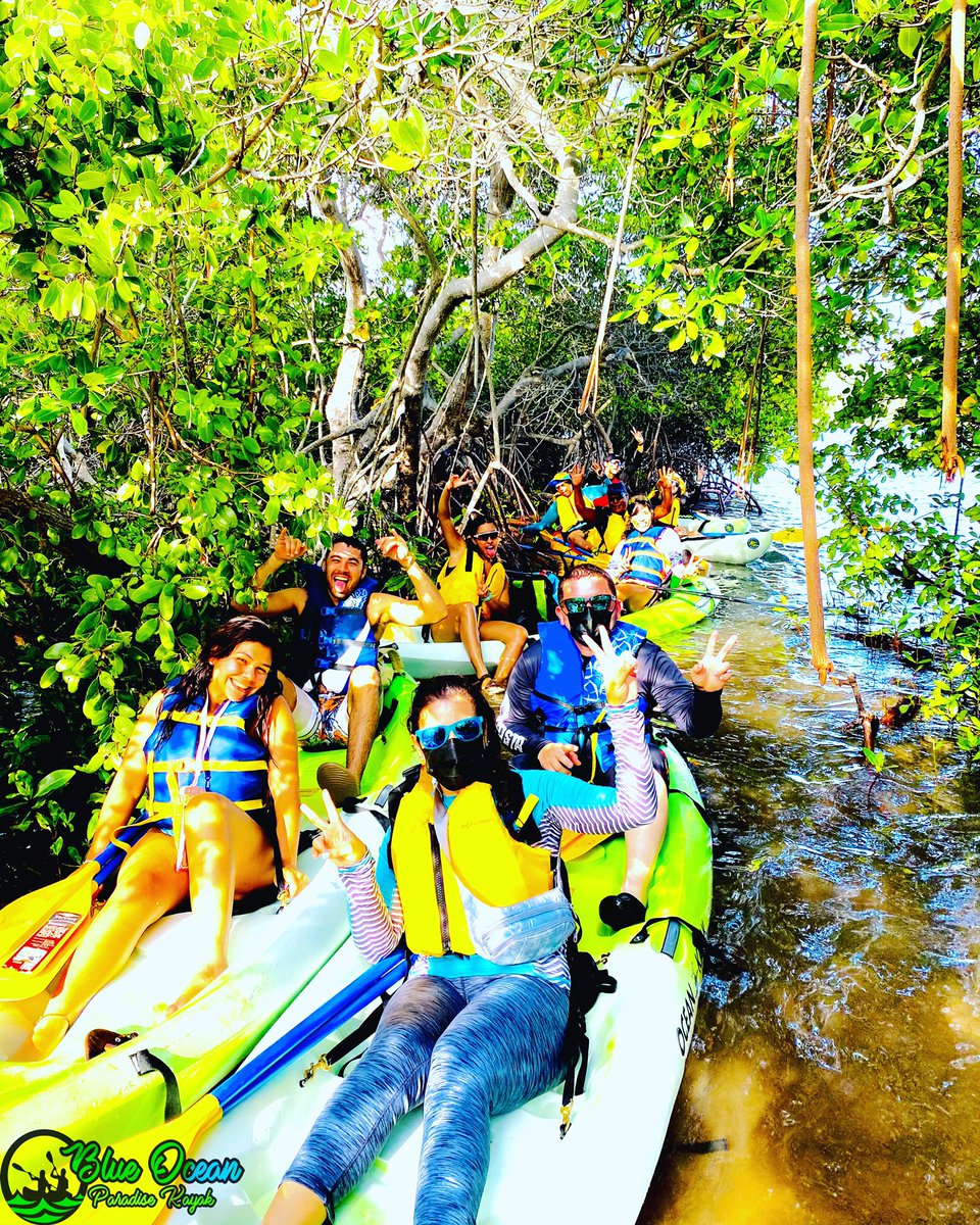 ToursKayak01's tweet photo. Jungle time🌾🌴

Horarios de excursiones: 
Jueves a Domingo 
8:00am-12:00pm
1:00pm-5:00pm

Saca tu cita:📲 787-519-8095 https://t.co/DsEarBUKsw