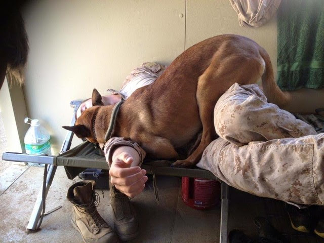 Richardciffer's tweet photo. Ces soldats dont on ne parle pas https://t.co/aoyXqf38o0