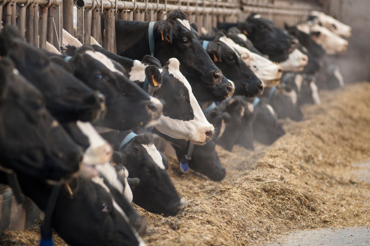 3R_congres's tweet image. 📢Les #3R2020 c&apos;est les 2-3 décembre en version numérique ! le jeudi 3/12 c&apos;est #alimentation #EfficienceRésilienceAlimentaire #qualitéproduits #Bienêtre #CompétitivitéFilières #génétique Choisissez votre programme▶️journees3r.fr/spip.php?artic… Inscrivez-vous ▶️3r2020.gipco-adns.com