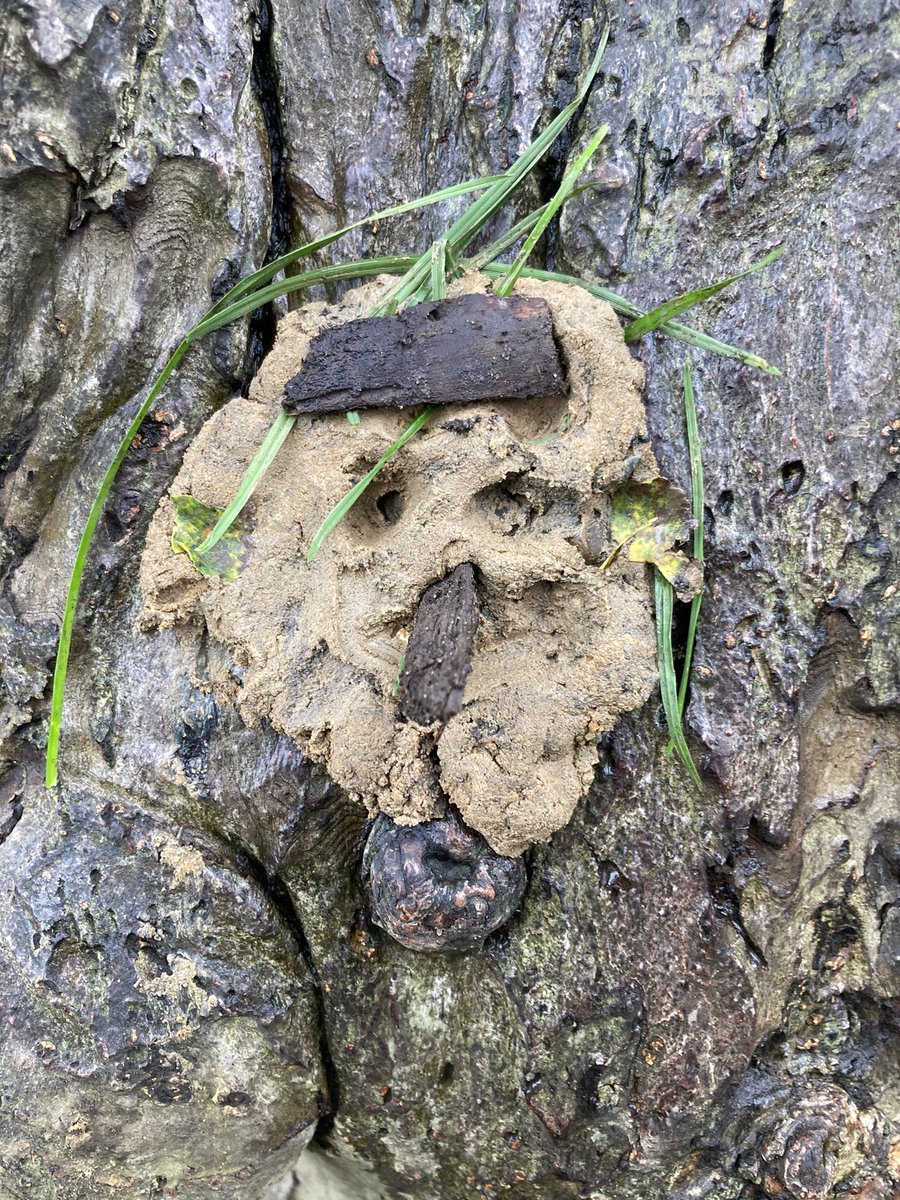 foodgrower's tweet photo. We love making #claycreatures on our #trees @ColfesSchool #forestschool and making up adventures for them. #outdoorplay #storytelljng https://t.co/DhBXDkNysz