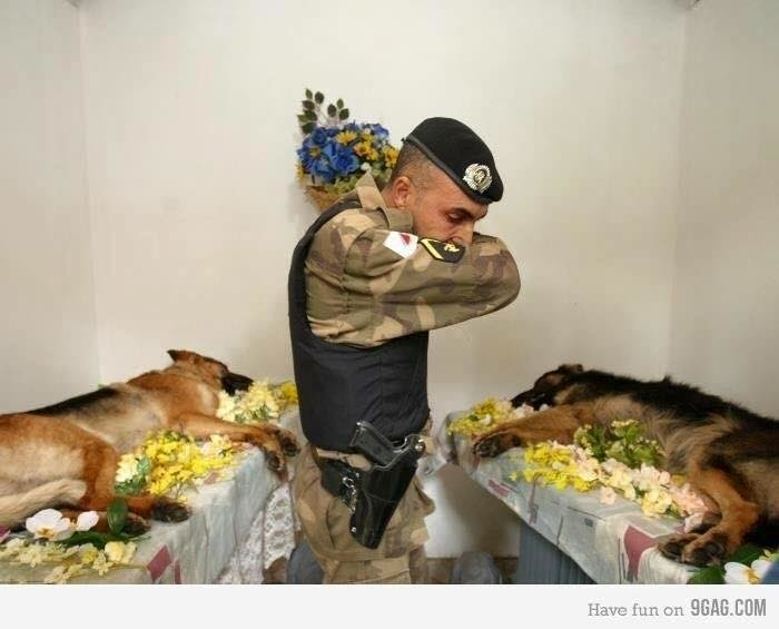 Richardciffer's tweet photo. Ces soldats dont on ne parle pas https://t.co/aoyXqf38o0