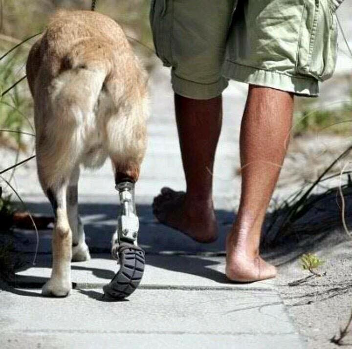 Richardciffer's tweet photo. Ces soldats dont on ne parle pas https://t.co/aoyXqf38o0