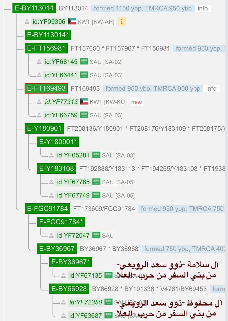 E_Y6172's tweet photo. يسرنا إعلان نتيجة الأخ خالد أبو الحسن من آل سلامة -ذوو سعد الرويعي- السفري الحربي -محافظة العلا- رقم العينة بFTDNA هو BP12628 ورقمها بالYFull هو YF67135 متكتلة مع أبناء عمومتهم آل محفوظ أسفل التحور E-BY36967 حفيد تحور بني السفر E-BY113014 حفيد E-Y6966 حفيد تحور حرب E-Y6172. https://t.co/0eRgOFAYhz