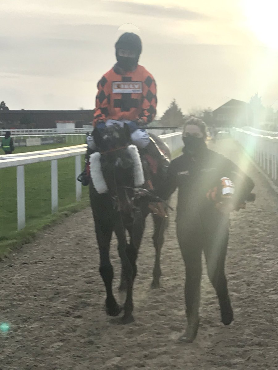 MichaelScu's tweet photo. What a wonderful performance from the old boy! Kingswell Theatre wins the @glenfarclas x country race for the second time 3 years apart. A pleasure to be involved with great ride from @tommyscu and a fantastic effort from all the team especially Becky who looks after him so well. https://t.co/49qDtW92aH
