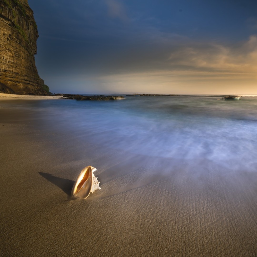 mbdemaria's tweet photo. It is perhaps a more fortunate destiny to have a taste for collecting shells than to be born a millionaire.
~Robert Louis Stevenson
#curiosity #innerpeace #beyourself #authenticity #peacewithin #soul #soultracking #souling #simplejoys https://t.co/bq8s0x5it5