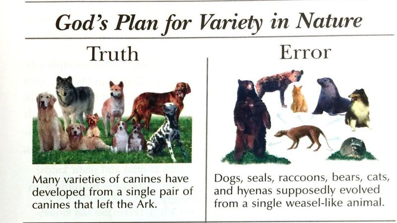Dinosaurs and man co-existed; God created North America as a place for Protestants; all dogs come from one pair on the ark. https://tinyurl.com/y657ys8y Note: *MY* pastor said dinosaurs were fake & that the commies buried the fake bones to prove evolution & make us all atheists. 1/