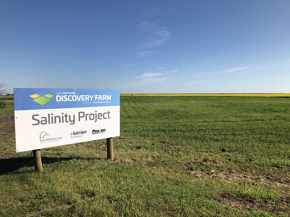 NutrienAgCda's tweet photo. Check out @DiscoveryFarm's 2020 #Research Report! #NutrienAgSolution's #agronomists @BLummerding & @lecowell took part in the project looking at managing salinity by planting salt-tolerant #forages - like #Halo, #ACSaltlander & #Salinemaster. #westcdnag https://t.co/0d6UWvCRvQ https://t.co/YlEyTAQPUh