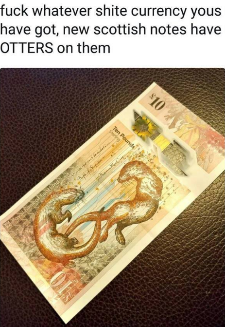 In_Otter_News2's tweet photo. https://t.co/s1YSwyl4Of