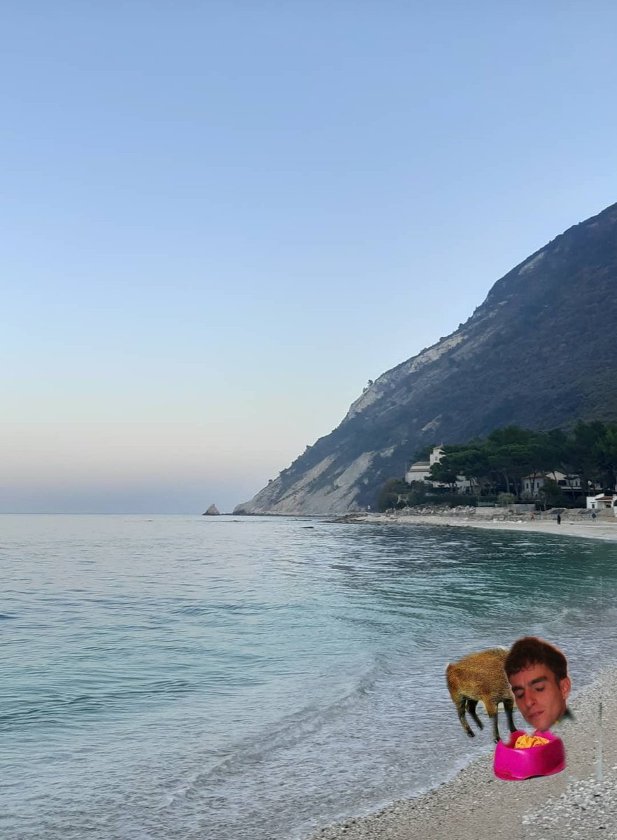 ErMolisano's tweet photo. Oggi mentre facevo una gitarella nelle Marche mi sono imbattuto in questo rarissimo esemplare di Cane Ciotola specie protetta dal 1994
#GoodVibesOnly #anconacaputmundi https://t.co/C0ZXSyrJHi