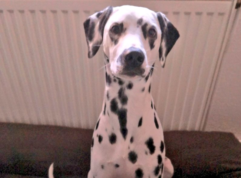 Hakiba's Madimah ❤️Fame❤️ tweet media