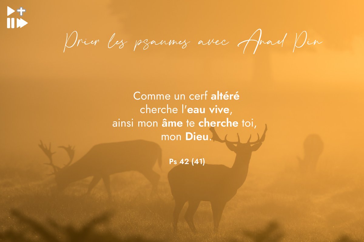 prie_en_chemin's tweet photo. Au cœur des aléas de la #vie, au cœur des doutes, le désir vital, viscéral de Dieu, comme le cri d'un nouveau né qui vient au monde...

Avec @Anaelpin méditons le #Psaume 42 (41) en ce début de week-end 🙏

👉 https://t.co/n1Iw7NFAVw

#prier #folk  #jesuites https://t.co/IkzNeKCoWp