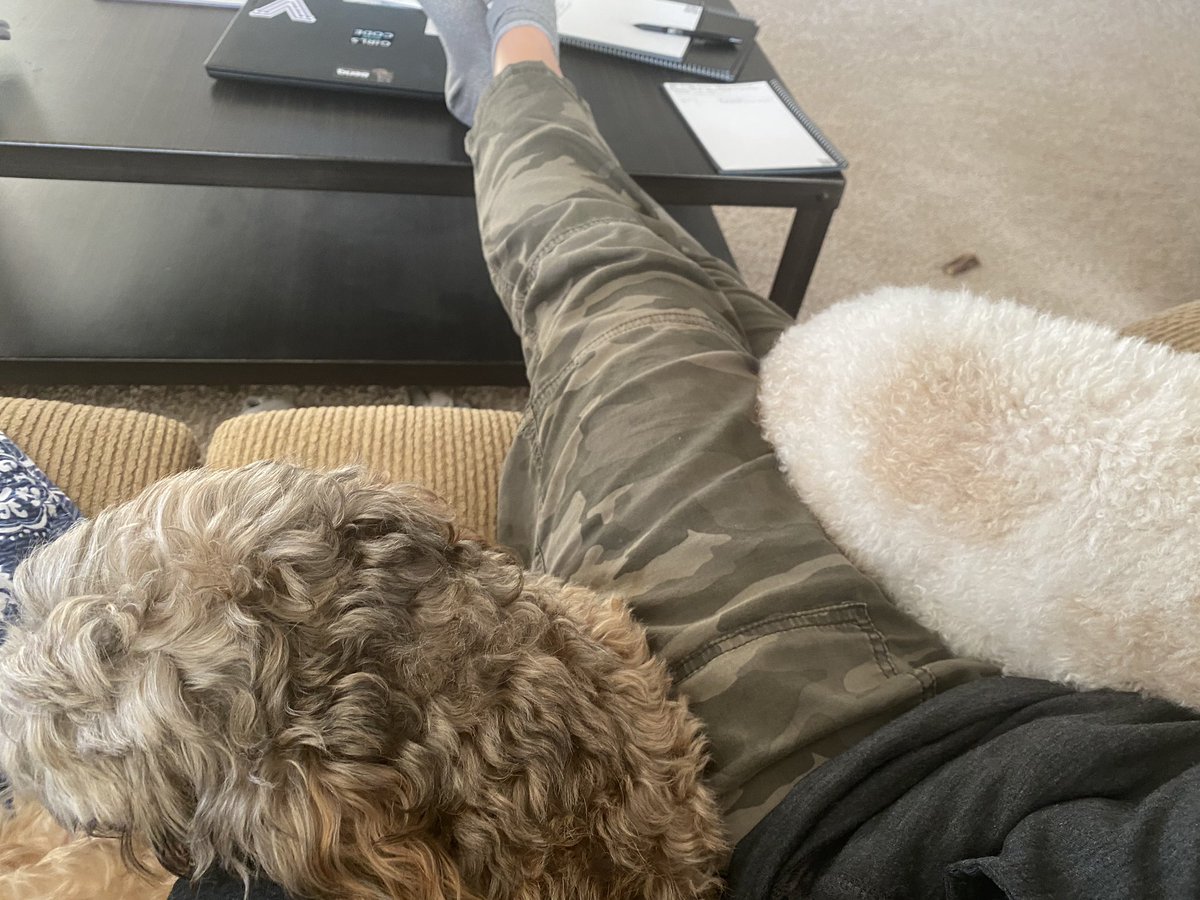 When you feel awful....a dog sandwich is the best!