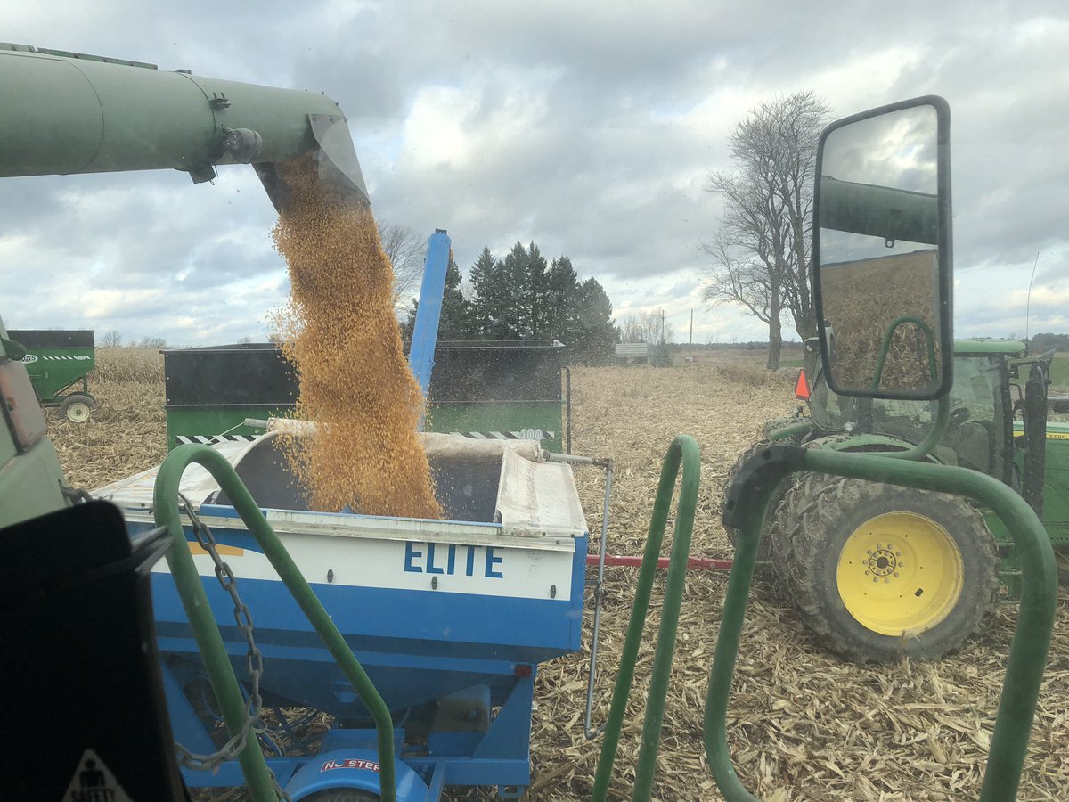 thepeachessss's tweet photo. #Maizex corn plot day today https://t.co/PqZ41qsjxv