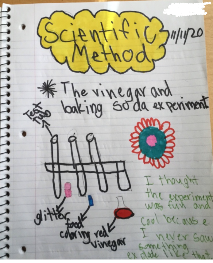 Ms_GTeixeira's tweet photo. My 3rd graders took quick notes during a live science lesson, in which we reviewed the scientific method @the_Madeleine 
I love the notes! https://t.co/GEAZ6szZ8s
