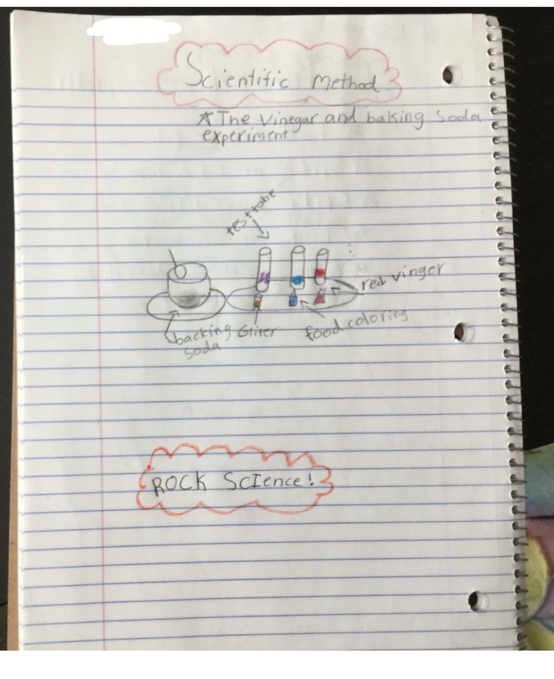 Ms_GTeixeira's tweet photo. My 3rd graders took quick notes during a live science lesson, in which we reviewed the scientific method @the_Madeleine 
I love the notes! https://t.co/GEAZ6szZ8s