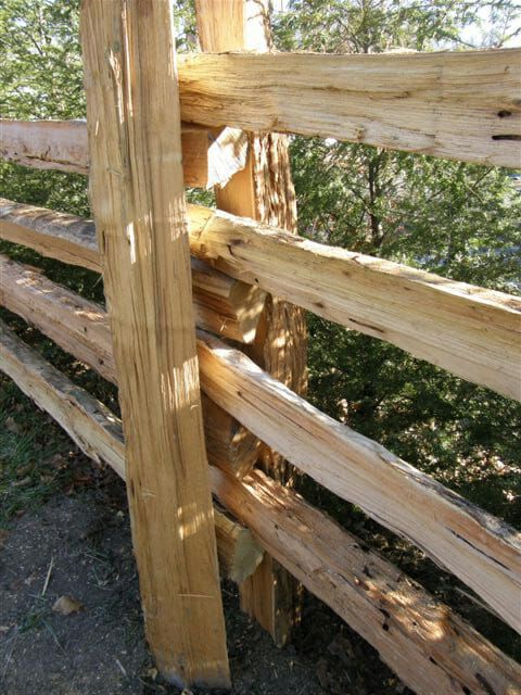Bark_House's tweet photo. Black Locust Split Rail FAQs | Bark House
 Black Locust Split Rail Fencing:
Why black locust wood?

Rot-resistant – Black Locust (Robinia Pseudoacacia) is the strongest and most rot-resistant...
 https://t.co/tVcGtxZqXv https://t.co/HX4nXxRrMs