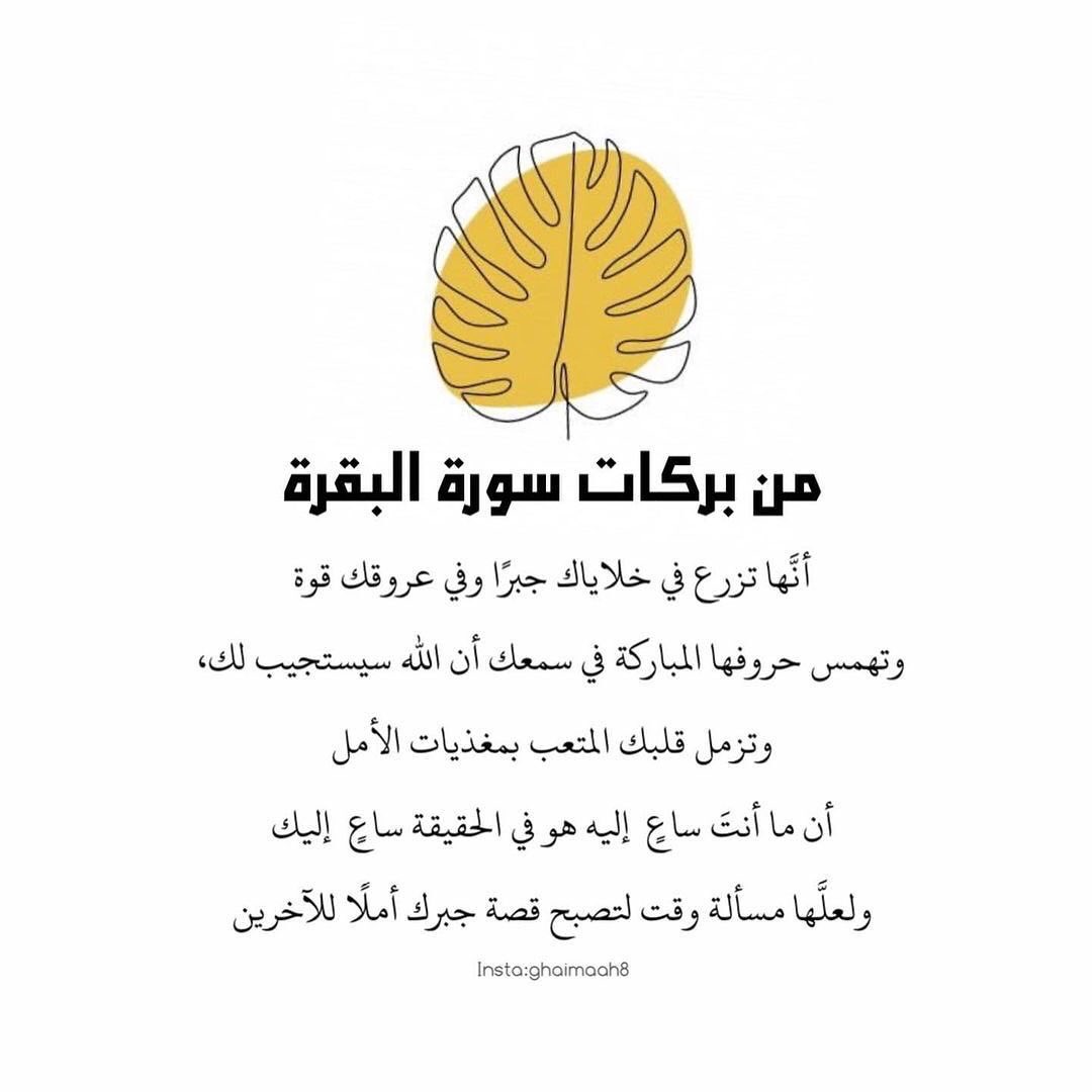 ReemAlobaidly's tweet photo. إذا فُتِحَ لك باب لقراءة سورة البقرة فقد دُبّر الأمر لك..💕 https://t.co/dGa8IYCbK6