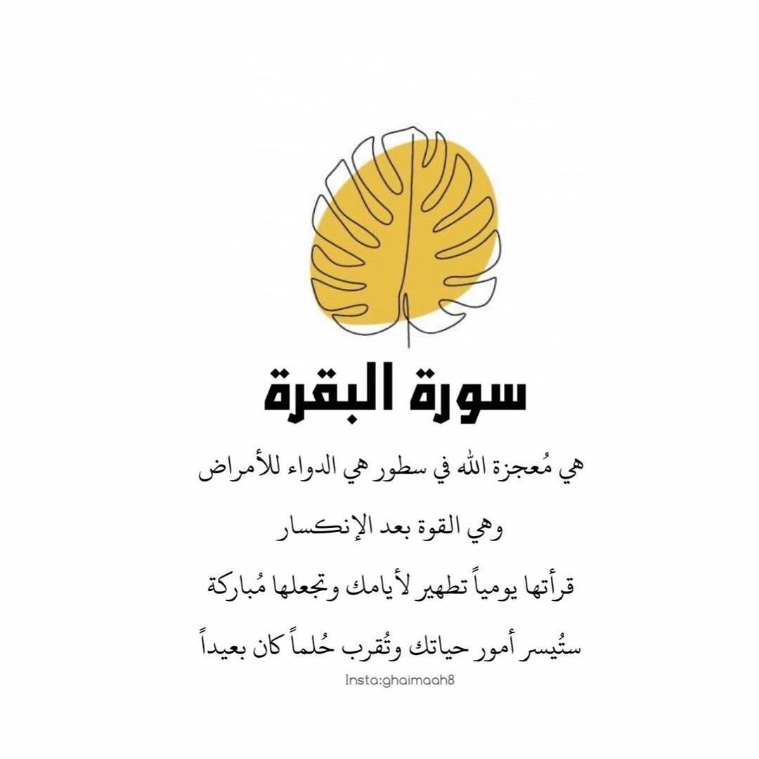 ReemAlobaidly's tweet photo. إذا فُتِحَ لك باب لقراءة سورة البقرة فقد دُبّر الأمر لك..💕 https://t.co/dGa8IYCbK6