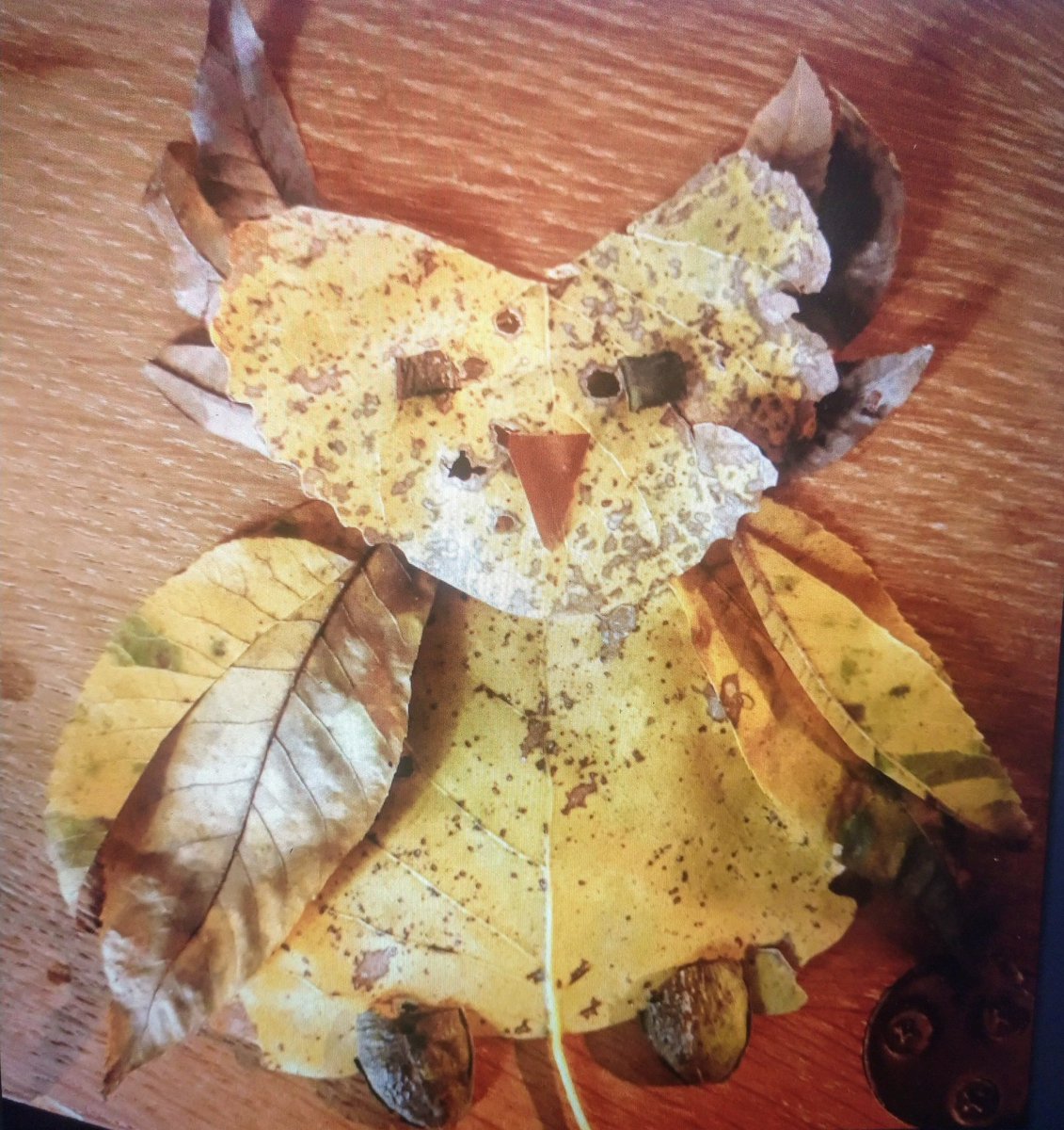 KEIB_MsBarton's tweet photo. Pecan season mini lesson! Getting outdoors. Creative art (student submission) with natural materials. 🌰🌳🦉💚 https://t.co/tCaUE9RAOZ