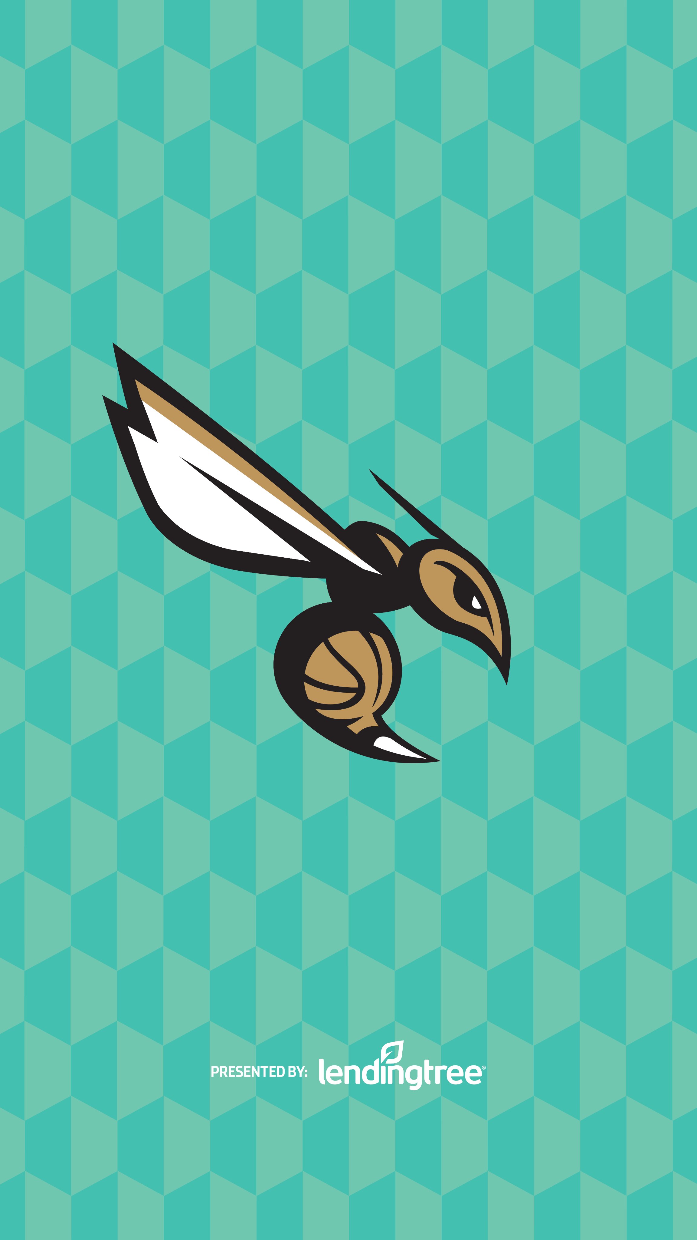 Charlotte Hornets: Buzz City Minted