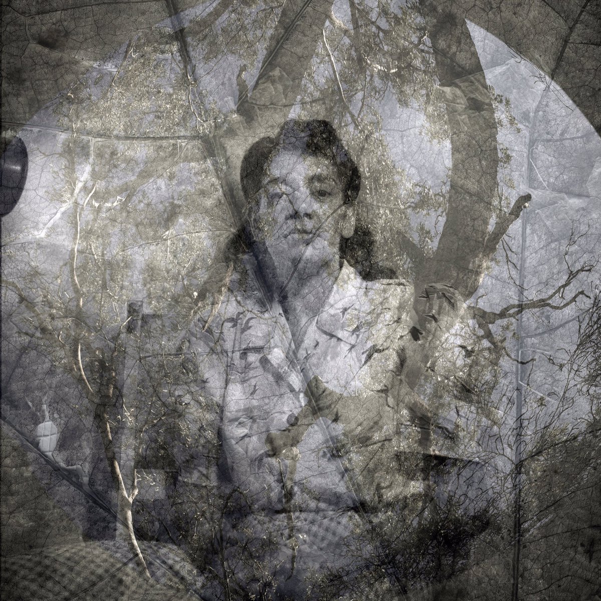 MAPh_photo's tweet image. To celebrate and acknowledge our #firstnationpeople we have shared a short interview between our Senior Curator, Pippa Milne and artist, Leah King-Smith. #NAIDOCWeek #alwayswasalwayswillbe

mga.org.au/library/media/…