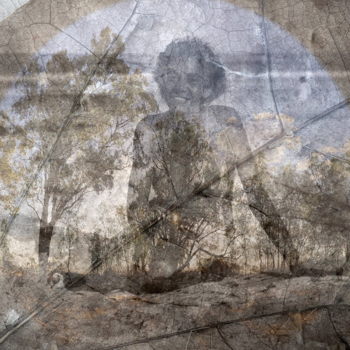 MAPh_photo's tweet image. To celebrate and acknowledge our #firstnationpeople we have shared a short interview between our Senior Curator, Pippa Milne and artist, Leah King-Smith. #NAIDOCWeek #alwayswasalwayswillbe

mga.org.au/library/media/…
