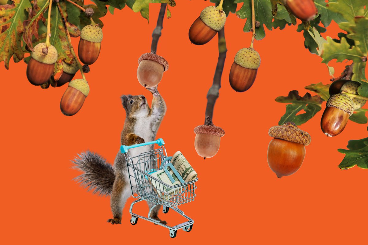 _SquirrelApp's tweet image. Black Friday shopping is coming up soon, and it's nuts!! Ok maybe not literally, but this Black Friday is sure to be unusual. Help your local small businesses by shopping for holiday gifts! #blackfriday2020