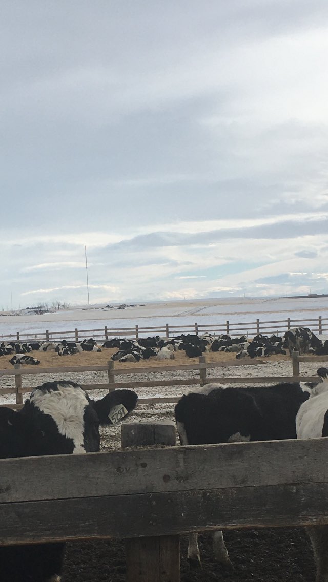 scott_skmoore's tweet photo. Just enjoying the weather today https://t.co/SzDCfgdOLE