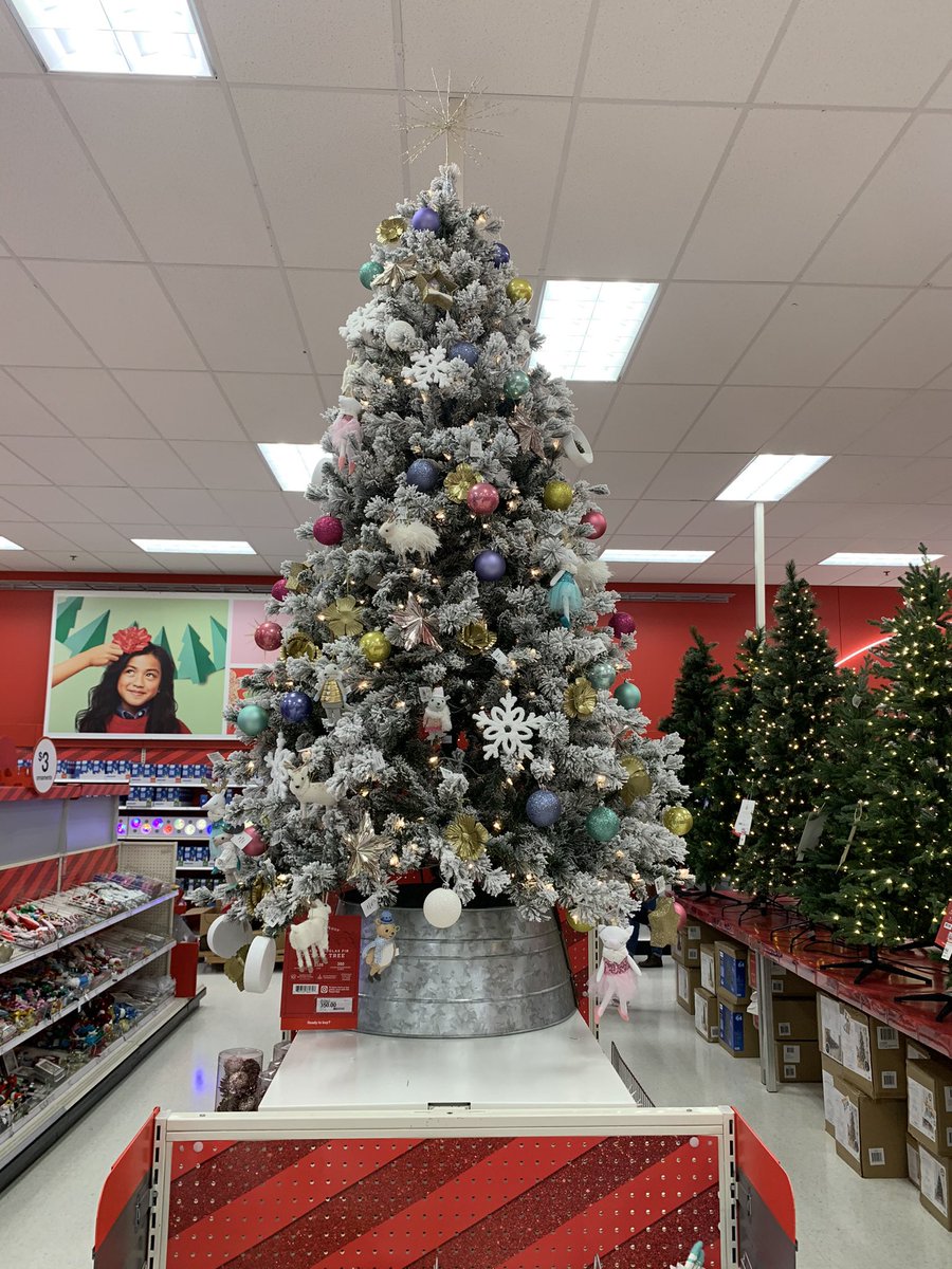AshleyEngel11's tweet photo. 🎄❄️🎶It’s beginning to look a lot like Christmas 🎶☃️🎅🏼  #Target #2204 @mikeyjstout_03 @markmoore658 @Tarasubermartin https://t.co/3XYYhHlBcN