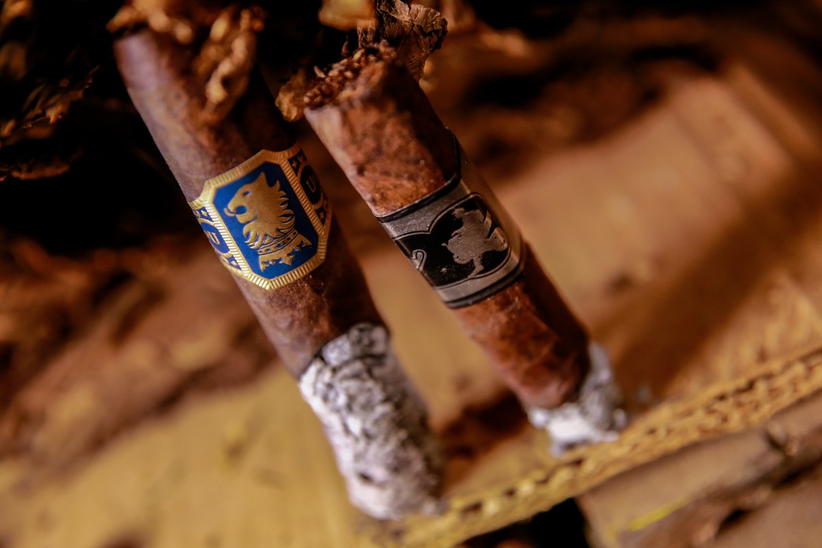 Experience ACID tweet media