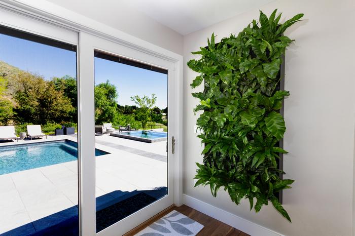 BiomeIdaho's tweet photo. FOLIAGE FRIDAY! Each week we highlight foliage friendly tips &amp; tricks:

What is an indoor living wall?

Rather than plant containers on the floor, shelves, or other horizontal surfaces, living walls comprise panels of plants growing vertically, either attached to a wall or a fre https://t.co/5hJwyzM60S