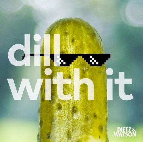 #dillwithit #November 14 is National #Pickle Day. #SweetPickles #GherkinPickles #KosherDillPickles #GenuineDillPickles
You don't need to deal with #unemployment, worry about going to #college or updating your #certificates  such as #FirstAids or #WHMIS... 
Call (250) 723-4675!