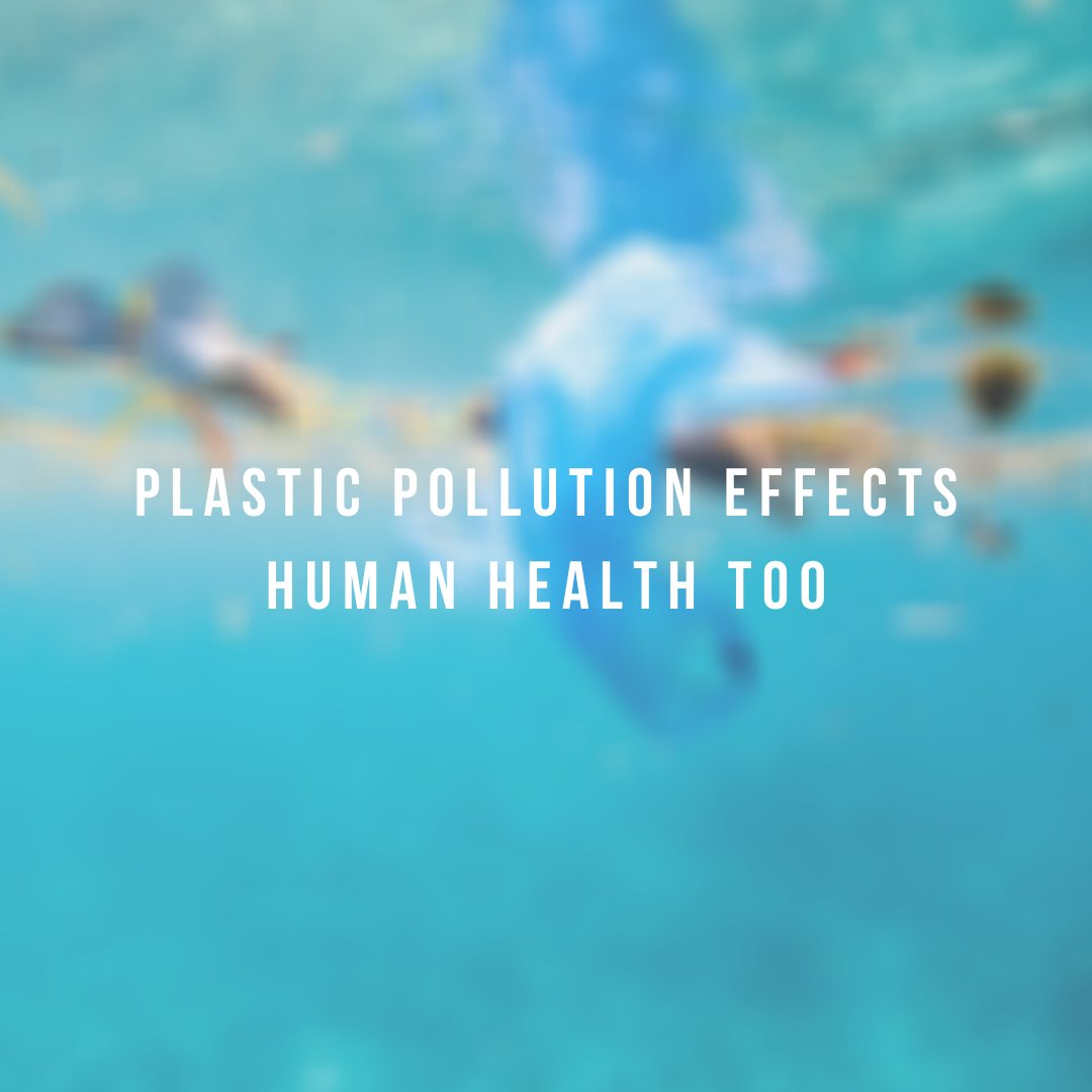 plastictides's tweet photo. Why should you care about plastic pollution? Not only is it disrupting oceanic ecosystems at an alarming rate, plastic pollution is detrimental to human health too!!
_____
#LiveUpstream https://t.co/8AtcdvU8Qt