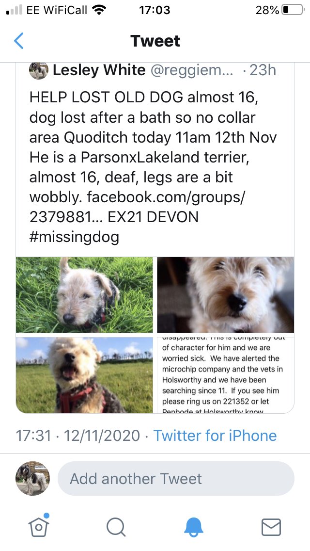 reggiemollieros's tweet photo. @ugghater @MissingPetsGB @DoglostUK But this little one is still missing Thank you https://t.co/NmWpCvdLHp