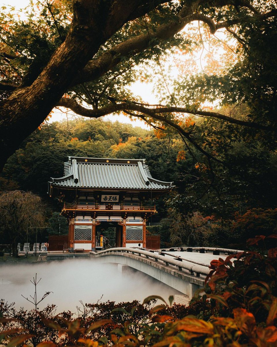 AestheticsJapan's tweet photo. Traditional Japan
📸 - https://t.co/tR5kGDR6gO https://t.co/DqbjyRqkBJ