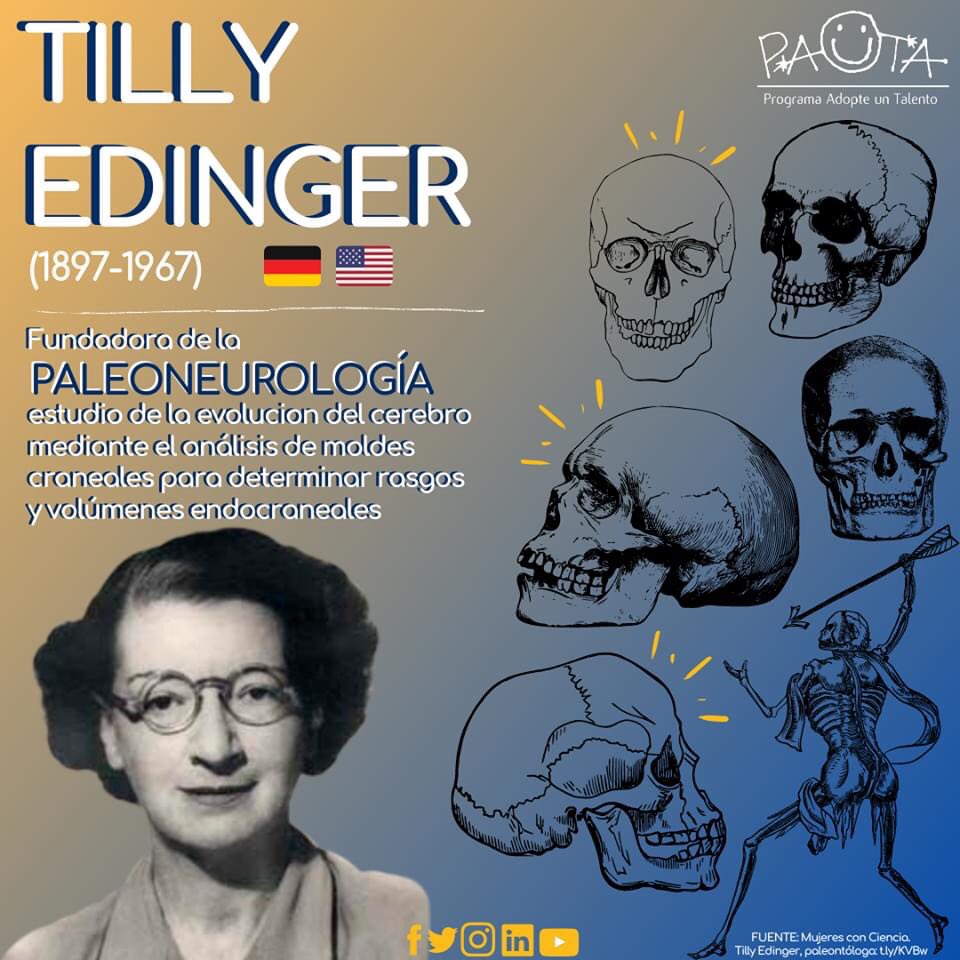 PAUTAAC's tweet photo. El día de hoy hace 123 años, nacía la Paleontóloga germano-estadounidense #TillyEdinger, a quien le debemos la generación de la #paleoneurología que estudia la evolución del cerebro para conocer más del comportamiento 🧠🦕💀
#SomosPAUTA #MujeresEnLaCiencia https://t.co/z554c8uy1a