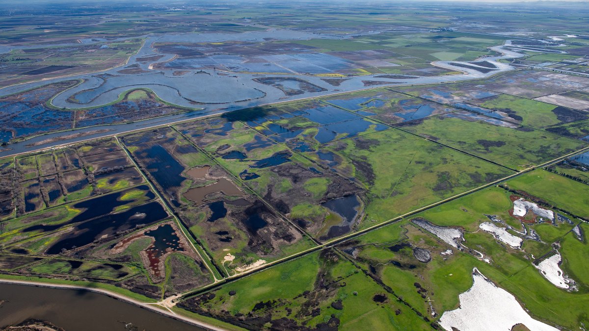 This proposal solicitation furthers the Delta Science Program's legislative mission in the 2009 Delta Reform Act to provide unbiased science for  #sacdelta decision-making through: Science funding, synthesis, + communication Independent peer review Coordination #scifri