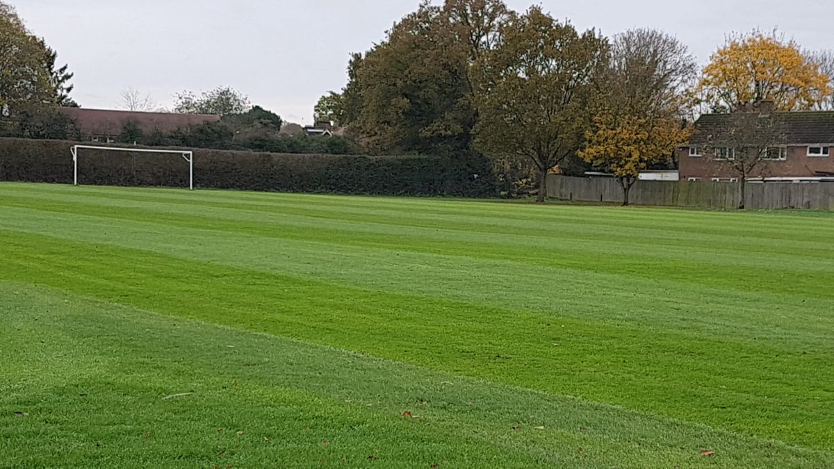 Haywards Heath Town Women tweet media