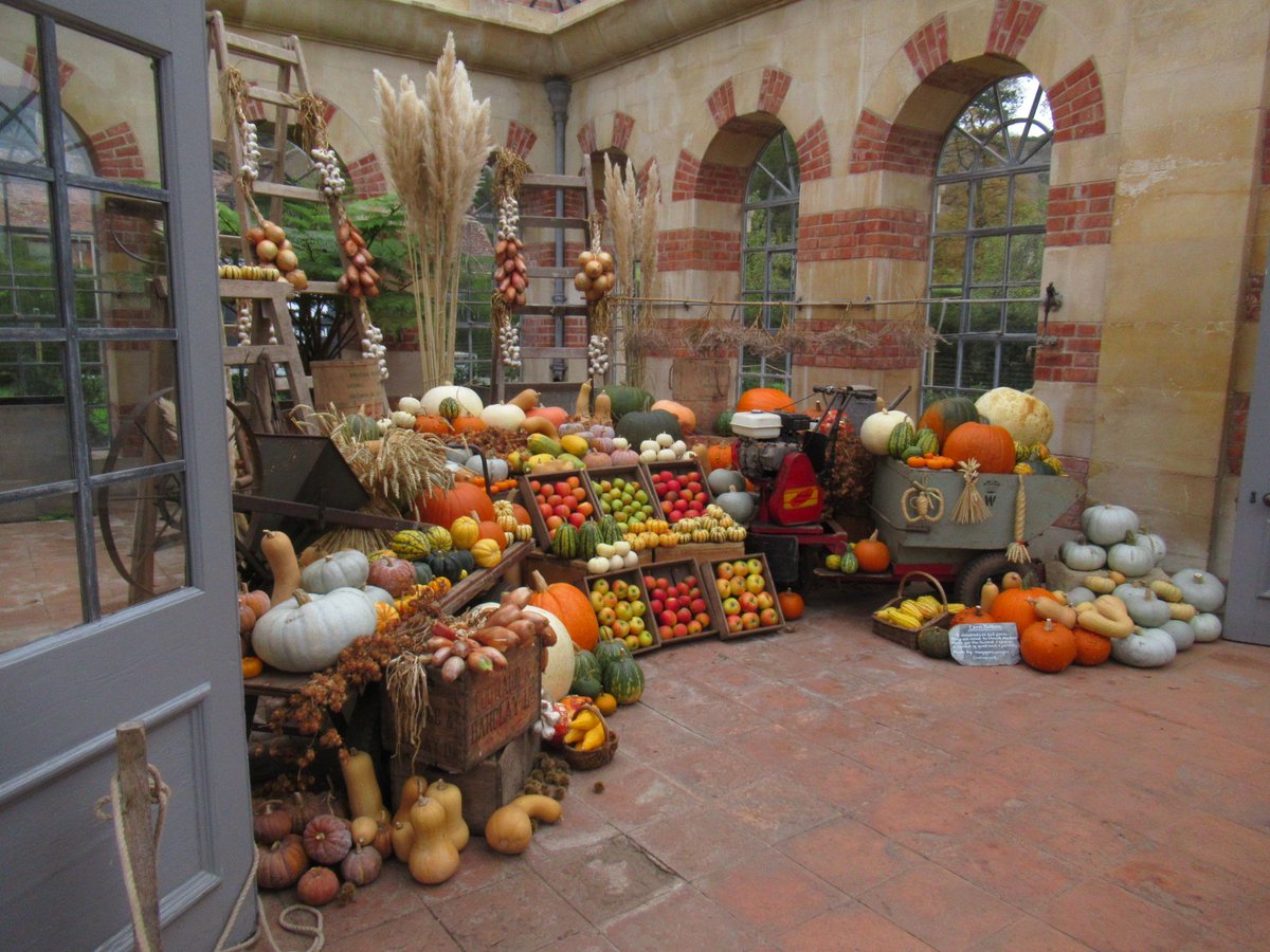 JoolsMainstone's tweet image. Lovely wander round Tyntesfield grounds on Wednesday. Still a few beautiful Autumn colours and the Pumpkin Display in the Orangery as beautiful as ever. Glad I took the sketchbook, although it was a little nippy ❄