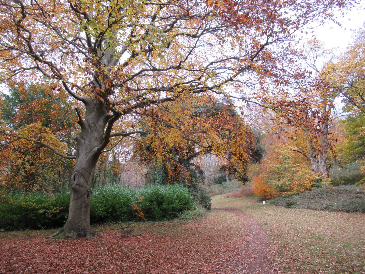 JoolsMainstone's tweet image. Lovely wander round Tyntesfield grounds on Wednesday. Still a few beautiful Autumn colours and the Pumpkin Display in the Orangery as beautiful as ever. Glad I took the sketchbook, although it was a little nippy ❄